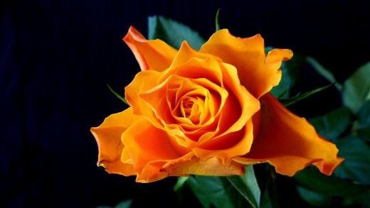 818679 (a): :2000x1124